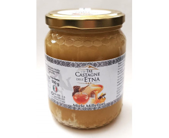 Miele millefiori 500g